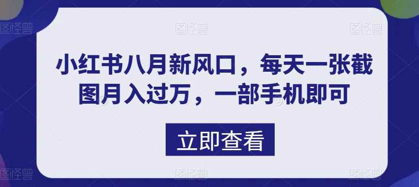 （6851期）八月新风口，小红书虚拟项目一天收入1000+，实战揭秘-咩咩网络