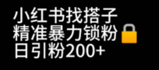 （6807期）小红书找搭子暴力精准锁粉+引流日引200+精准粉-咩咩网络