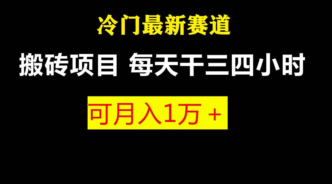 （6665期）最新冷门游戏搬砖项目，零基础也能玩（附教程+软件）-咩咩网络