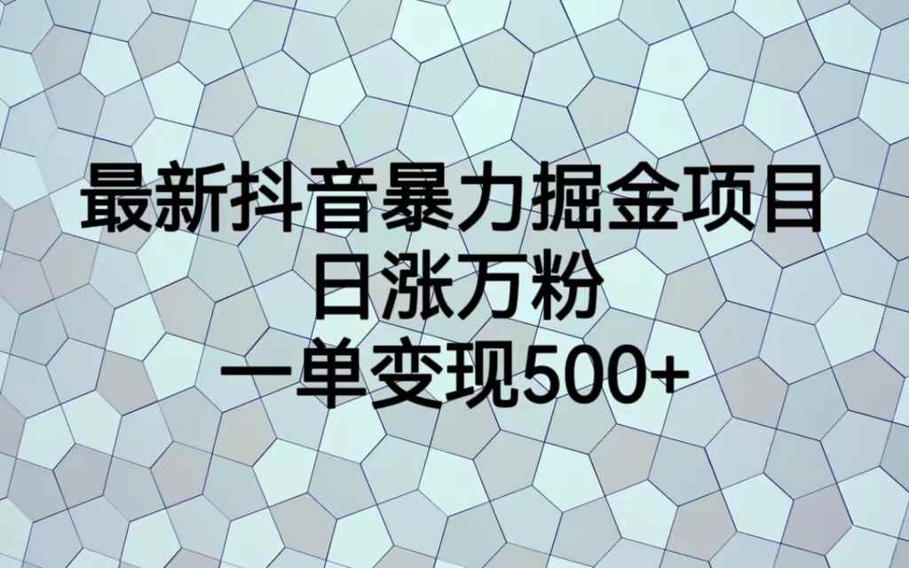 （6660期）最新抖音暴力掘金项目，日涨万粉，一单变现500+-咩咩网络