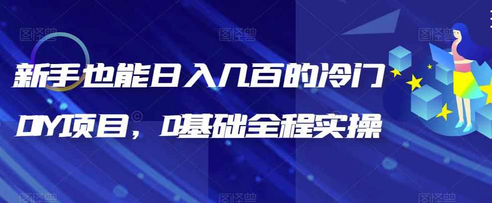 （6630期）新手也能日入几百的冷门DIY项目，0基础全程实操【揭秘】-咩咩网络