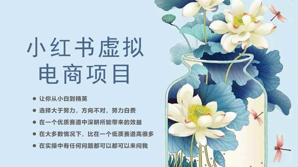 （6607期）小红书虚拟电商从0到1，让你从小白到精英（20节实操课程）-咩咩网络