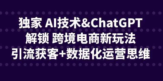 （6599期）独家 AI技术&ChatGPT解锁 跨境电商新玩法，引流获客+数据化运营思维-咩咩网络