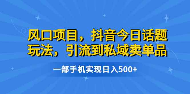 （6588期）风口项目，抖音今日话题玩法，引流到私域卖单品，一部手机实现日入500+-咩咩网络