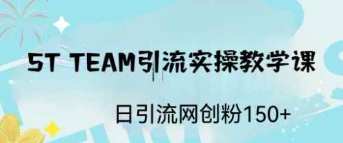 （6578期）ST TEAM引流实操课，日引流网创粉100+-咩咩网络