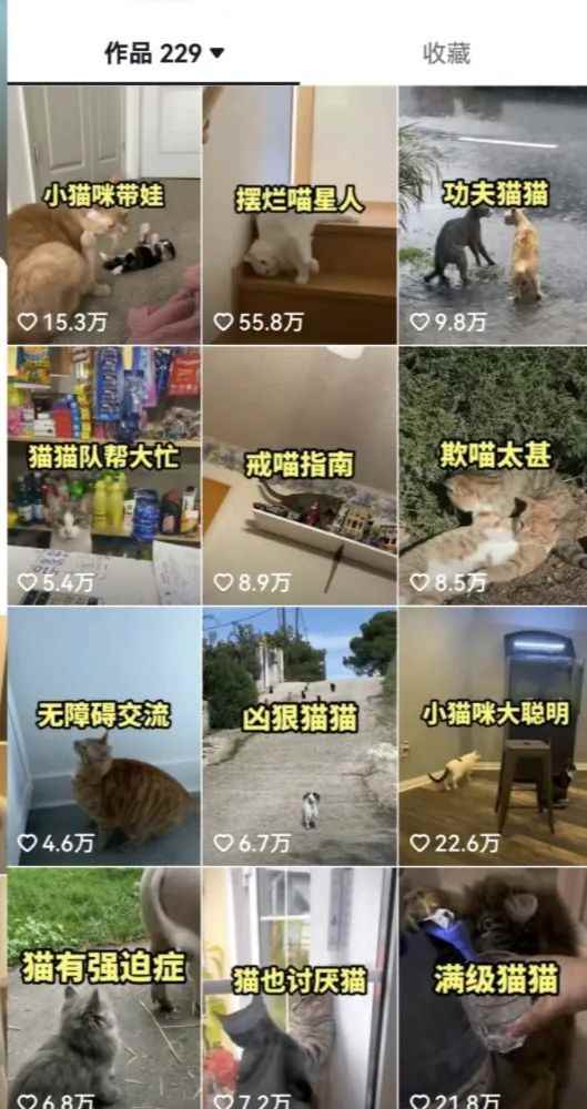 图片[3]-（6568期）拆解：抖音盘点类中视频变现副业项目，视频版一条龙大解析分享给你-咩咩网络