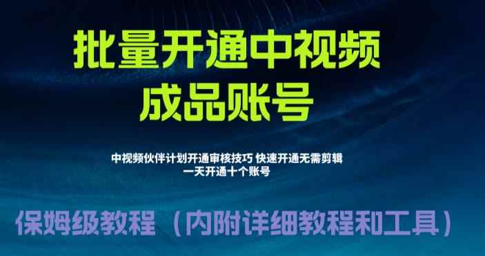 （6561期）外面收费1980暴力开通中视频计划教程，附 快速通过中视频伙伴计划的办法-咩咩网络