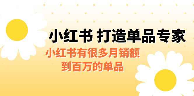 （6541期）某公众号付费文章《小红书 打造单品专家》小红书有很多月销额到百万的单品-咩咩网络