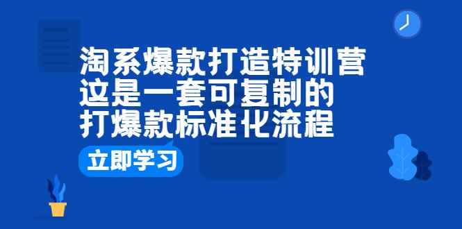 （6478期）淘系爆款打造特训营：这是一套可复制的打爆款标准化流程-咩咩网络