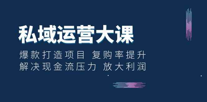 （6456期）私域运营大课：爆款打造项目 复购率提升 解决现金流压力 放大利润-咩咩网络