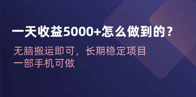 （6435期）一天收益5000+怎么做到的？无脑搬运即可，长期稳定项目，一部手机可做-咩咩网络