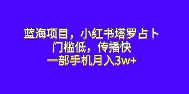 （6427期）蓝海项目，小红书塔罗占卜，门槛低，传播快，一部手机月入3w+-咩咩网络