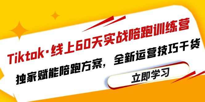 （6333期）Tiktok·线上60天实战陪跑训练营，独家赋能陪跑方案，全新运营技巧干货-咩咩网络