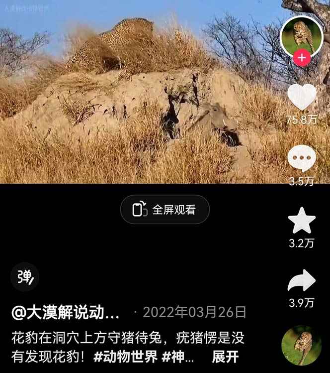 图片[1]-（6312期）外面卖1699的国外纪录片解说（动物解说、美食、动画片）稳过中视频-咩咩网络