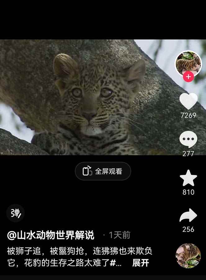 图片[2]-（6312期）外面卖1699的国外纪录片解说（动物解说、美食、动画片）稳过中视频-咩咩网络