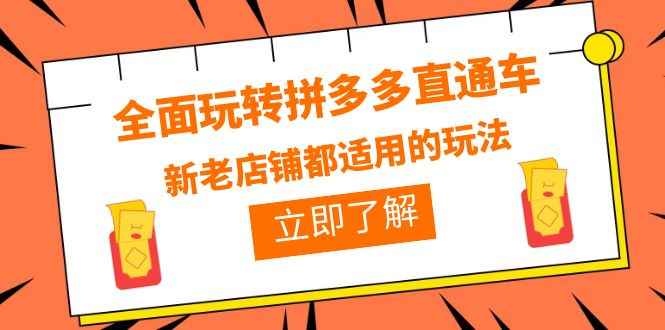 （6294期）全面玩转拼多多直通车，新老店铺都适用的玩法（12节精华课）-咩咩网络