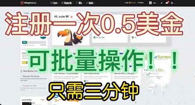 （6285期）国外项目注册一次0.5美金 只需三分钟无脑操作 可批量放大 小白工作室福利-咩咩网络