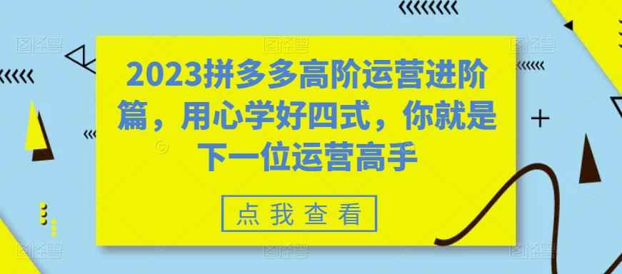 （6193期）2023拼多多高阶运营进阶篇，用心学好四式，你就是下一位运营高手-咩咩网络