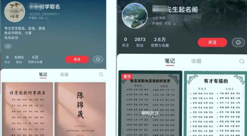 图片[2]-（6190期）【新课】冷门暴利项目：给宝宝起名（一单200+）内附教程+工具-咩咩网络