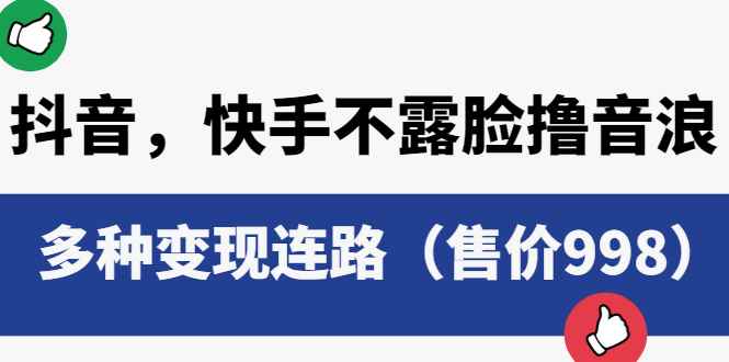 （6149期）抖音，快手不露脸撸音浪项目，多种变现连路（售价998）-咩咩网络