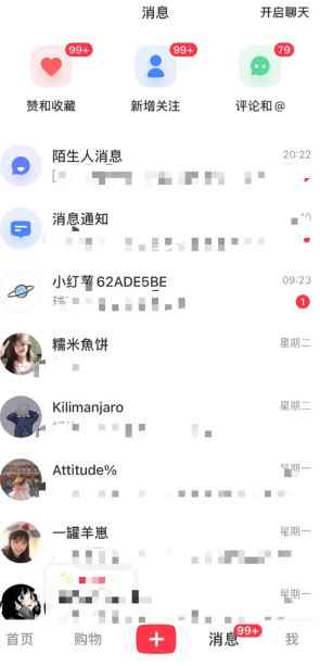 图片[3]-（6087期）最新小红书颜值打分玩法，日入300+闭环玩法-咩咩网络