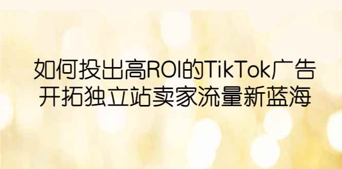 （6102期）如何投出高ROI·TikTok广告，开拓独立站卖家流量新蓝海-咩咩网络