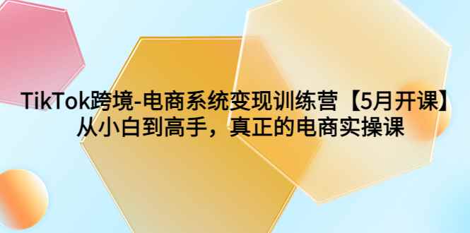 （6058期）TikTok跨境-电商系统变现训练营【5月新课】从小白到高手，真正的电商实操课-咩咩网络