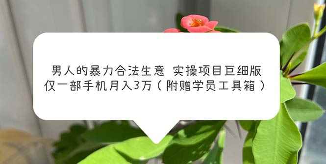 （5962期）男人的暴力合法生意实操项目巨细版：仅一部手机月入3w（附赠学员工具箱）-咩咩网络