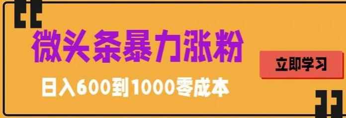 （5950期）微头条暴力涨粉技巧搬运文案就能涨几万粉丝，简单0成本，日赚600-咩咩网络