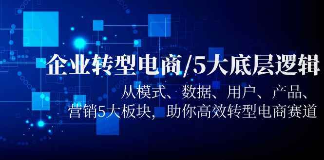 （5939期）企业转型电商/5大底层逻辑，从模式 数据 用户 产品 营销5大板块，高效转型-咩咩网络