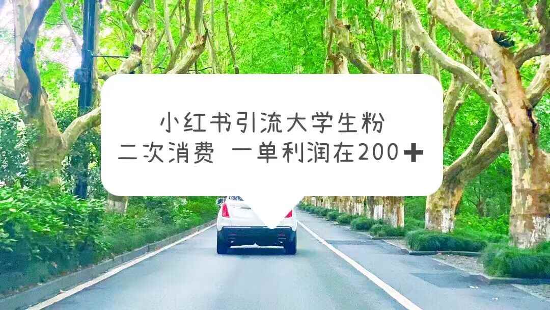 （5914期）小红书引流大学生粉，变现项目，一单利润在200+（教程+资源）-咩咩网络