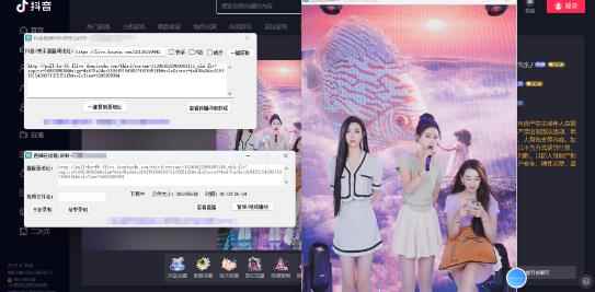 图片[2]-（5907期）最新电脑版抖音/快手/B站直播源获取+直播间实时录制+直播转播【软件+教程】-咩咩网络