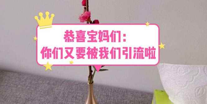 （5891期）恭喜宝妈们：你们又要被我们引流了（教程+222g资料）-咩咩网络