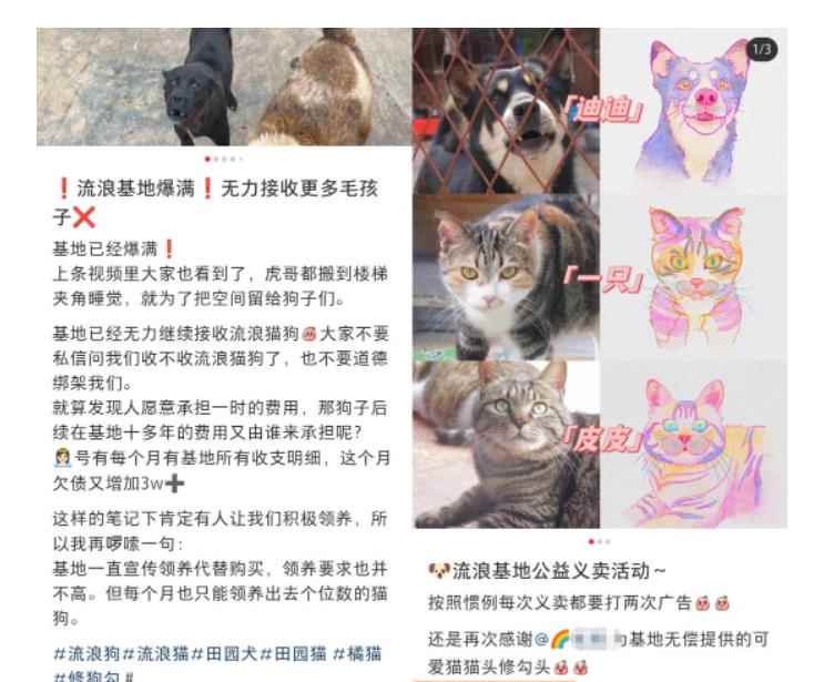图片[2]-（5867期）小红书蓝海类赛道：小动物打赏与购买变现副业项目，一条龙玩法分享给你！-咩咩网络
