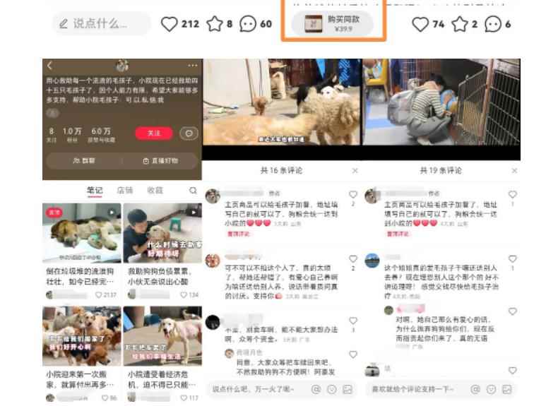 图片[3]-（5867期）小红书蓝海类赛道：小动物打赏与购买变现副业项目，一条龙玩法分享给你！-咩咩网络