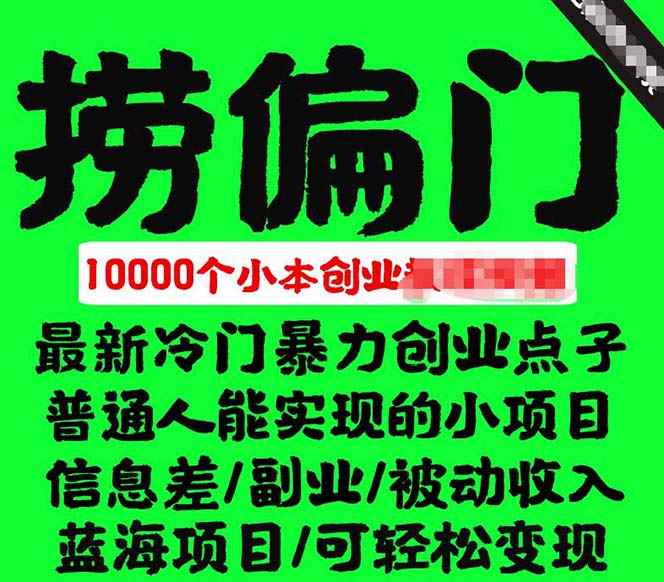 图片[2]-（5750期）千款捞偏门小本创业小项目，总有一款适合你【无水印】-咩咩网络