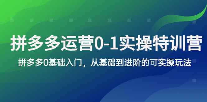 （5747期）拼多多-运营0-1实操训练营，拼多多0基础入门，从基础到进阶的可实操玩法-咩咩网络