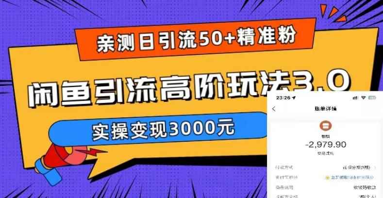 （5739期）实测日引50+精准粉，闲鱼引流高阶玩法3.0，实操变现3000元-咩咩网络