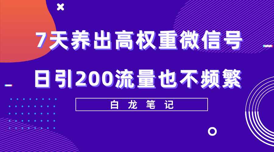 （5630期）7天养出高权重微信号，日引200流量也不频繁，方法价值3680元-咩咩网络