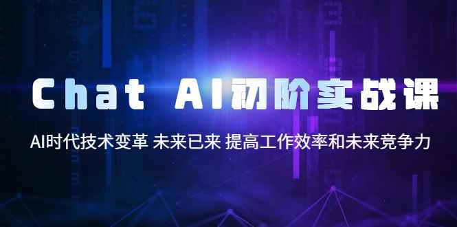 （5610期）Chat AI初阶实战课，AI时代技术变革 未来已来 提高工作效率和未来竞争力-咩咩网络