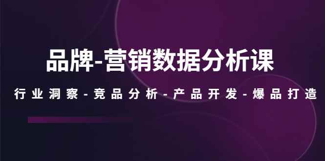 （5565期）品牌-营销数据分析课，行业洞察-竞品分析-产品开发-爆品打造-咩咩网络