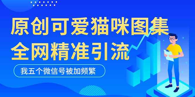 （5498期）黑科技纯原创可爱猫咪图片，全网精准引流，实操5个VX号被加频繁-咩咩网络