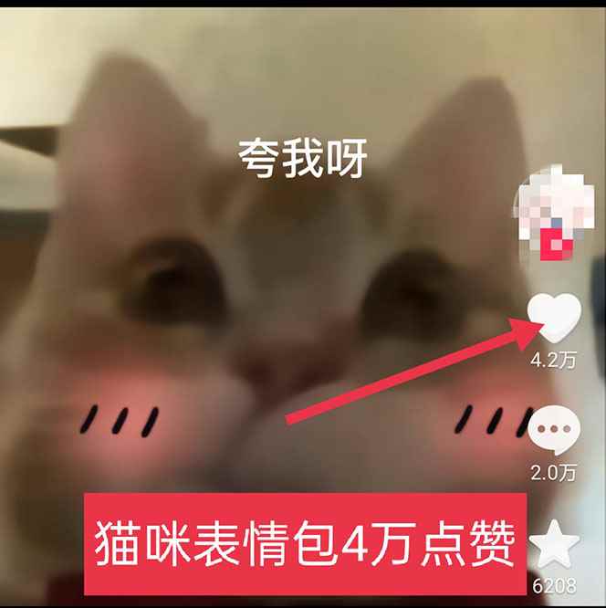 图片[3]-（5498期）黑科技纯原创可爱猫咪图片，全网精准引流，实操5个VX号被加频繁-咩咩网络