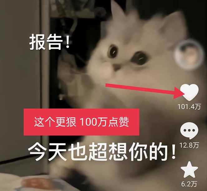 图片[4]-（5498期）黑科技纯原创可爱猫咪图片，全网精准引流，实操5个VX号被加频繁-咩咩网络