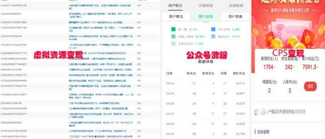 图片[1]-（5534期）2023网创类粉引流术，自用引流涨粉方法发布，实现被动流量变现！-咩咩网络