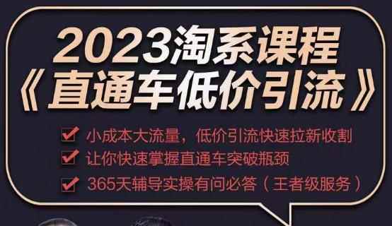 2023直通车低价引流玩法课程，小成本大流量，低价引流快速拉新收割，让你快速掌握直通车突破瓶颈-咩咩网络