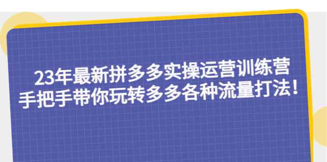 （5435期）23年最新拼多多实操运营训练营：手把手带你玩转多多各种流量打法！-咩咩网络