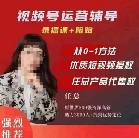 任姐视频号运营，懂老板的任总视频号短视频运营，从0到1做视频号课程-咩咩网络