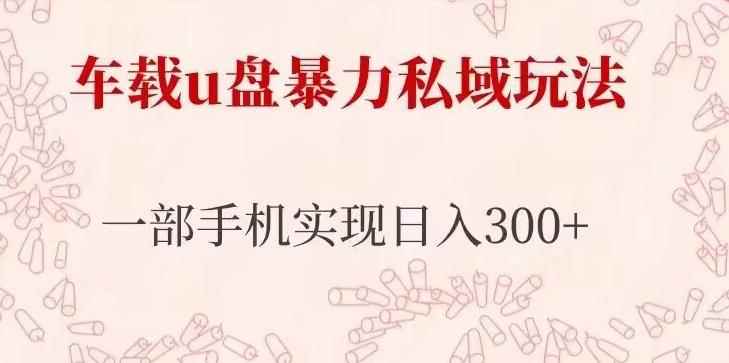 车载u盘暴力私域玩法，长期项目，仅需一部手机实现日入300+-咩咩网络