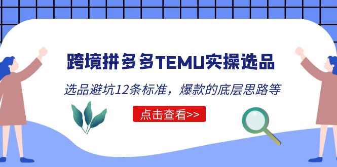 （5402期）跨境拼多多TEMU实操选品运营方法，选品避坑12条标准，爆款的底层思路等-咩咩网络